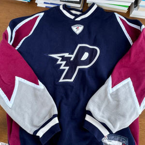 팔라스 볼트 맨투맨 palace bolt jersey