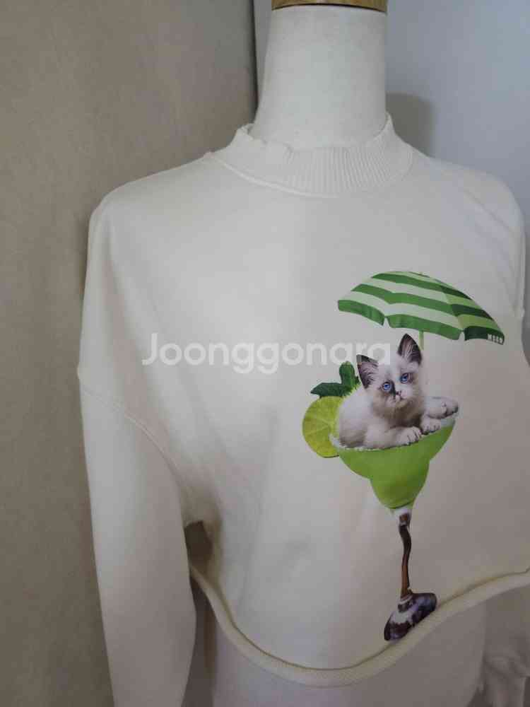 MSGM 여성 크롭맨투맨--2