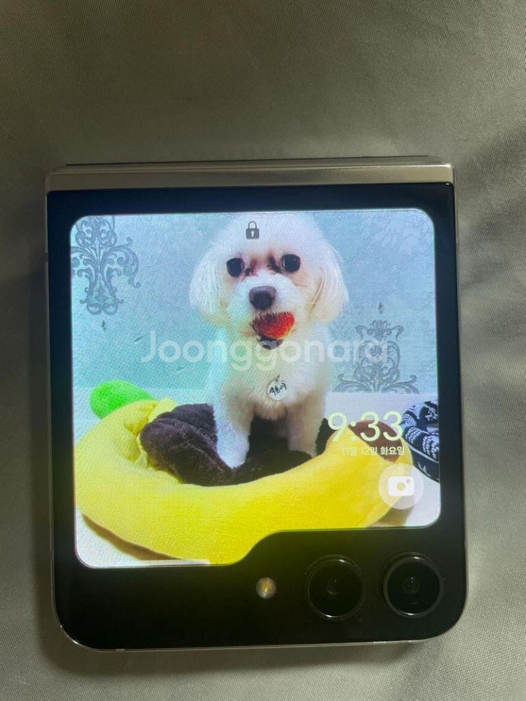갤럭시 제트플립5 512GB--1