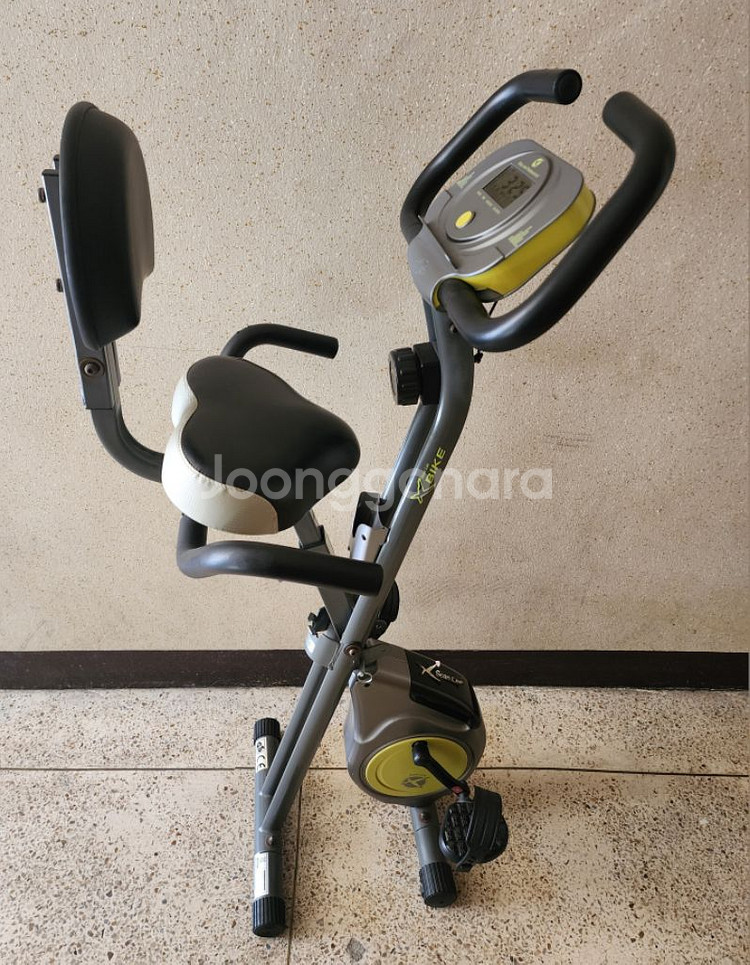 숀리 실내자전거--1