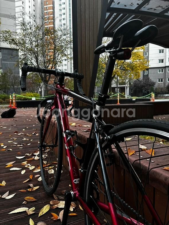 첼로 스칼라티a1 로드자전거--1