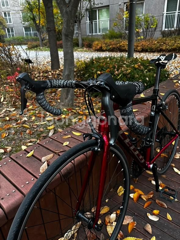 첼로 스칼라티a1 로드자전거--2