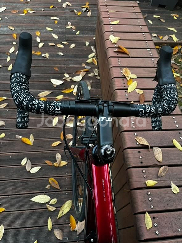 첼로 스칼라티a1 로드자전거--3