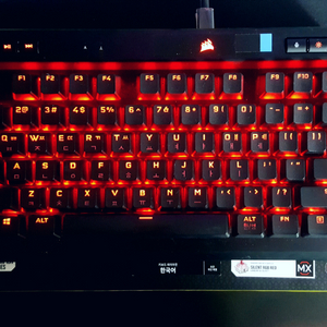 커세어 키보드 k70 rgb tkl 챔피언시리즈