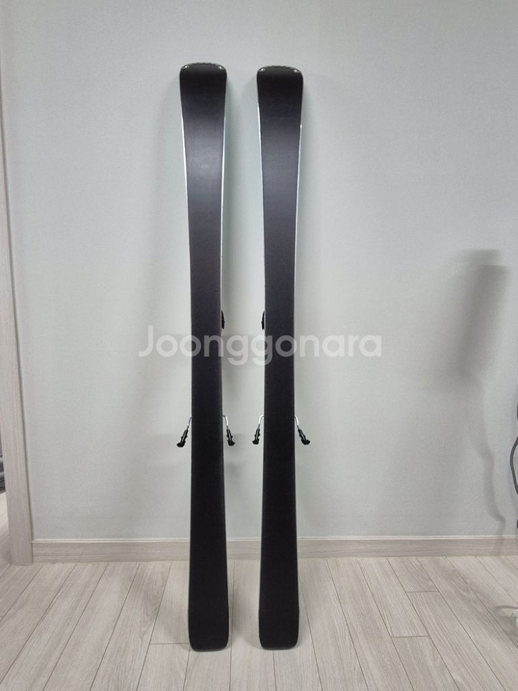 노르디카 스키 플레이트--1