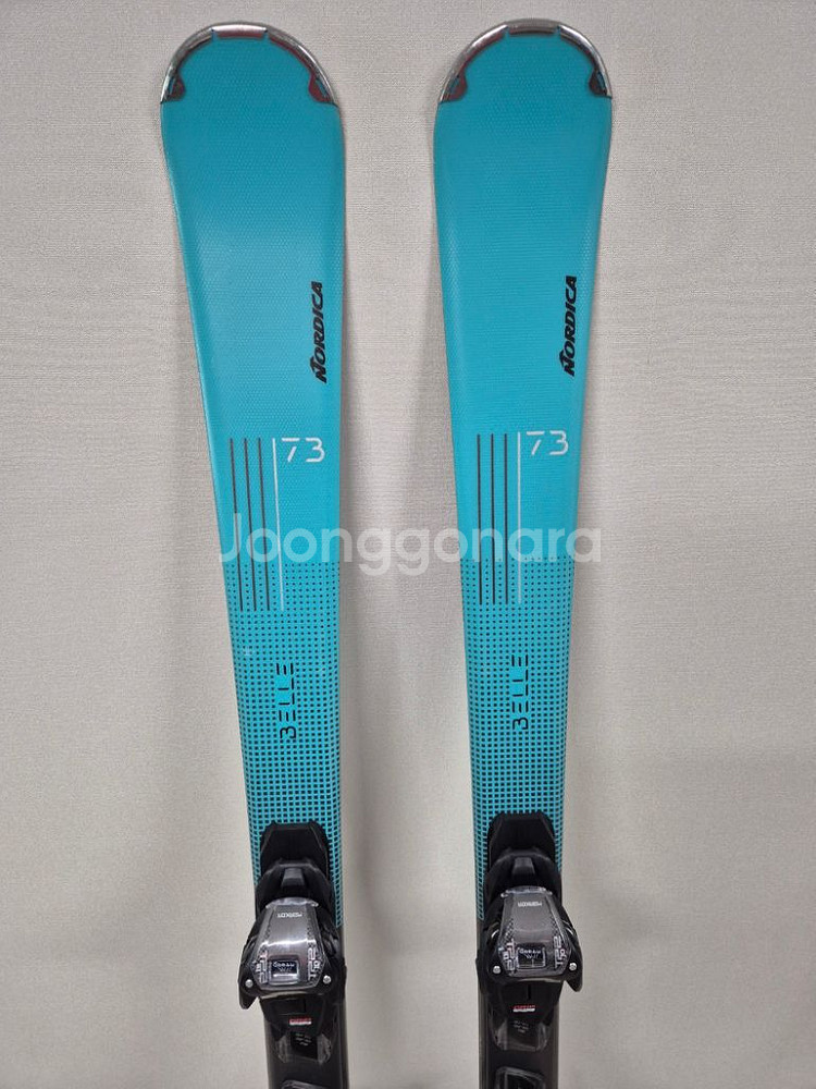 노르디카 스키 플레이트--2