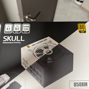 NEWZEN SKULL 850w 풀모듈러 화이트 파워