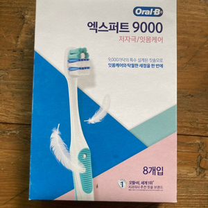 오랄비 엑스퍼트 9000 칫솔 6개입