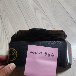 레이밴 호피무늬 선글래스0RB4125