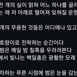 원하시는 글 써드립니다(종류불문)