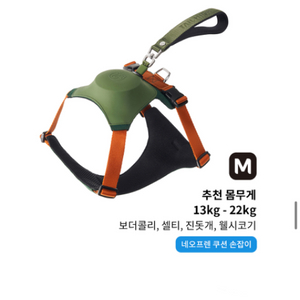 테일하이하네스m