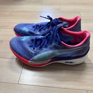 푸마 디나엘3 275
