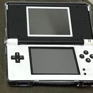 닌텐도 ds lite+닌텐독스