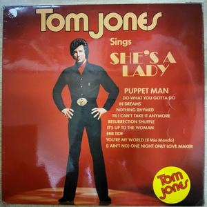 TOM JONES 음반 s (LP 턴테이블 오디오 앰프