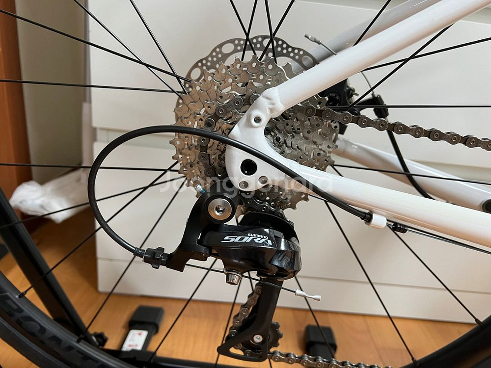 트렉 도마니AL3 2023 민트급--4