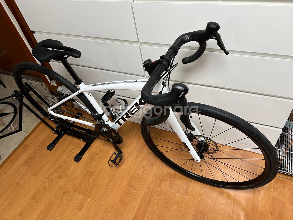 트렉 도마니AL3 2023 민트급--1