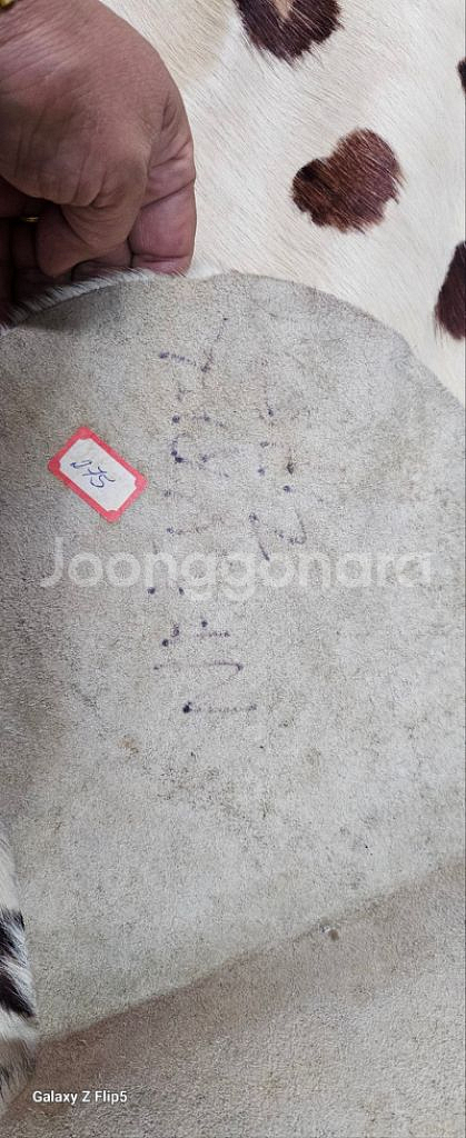 엔틱포범모피 가죽카페트--6
