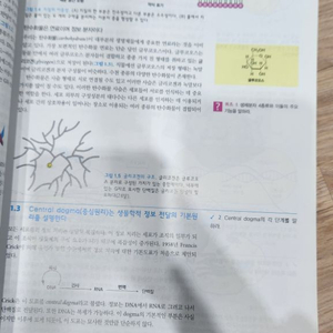 Cell Biology 3rd 세포생물학 3판