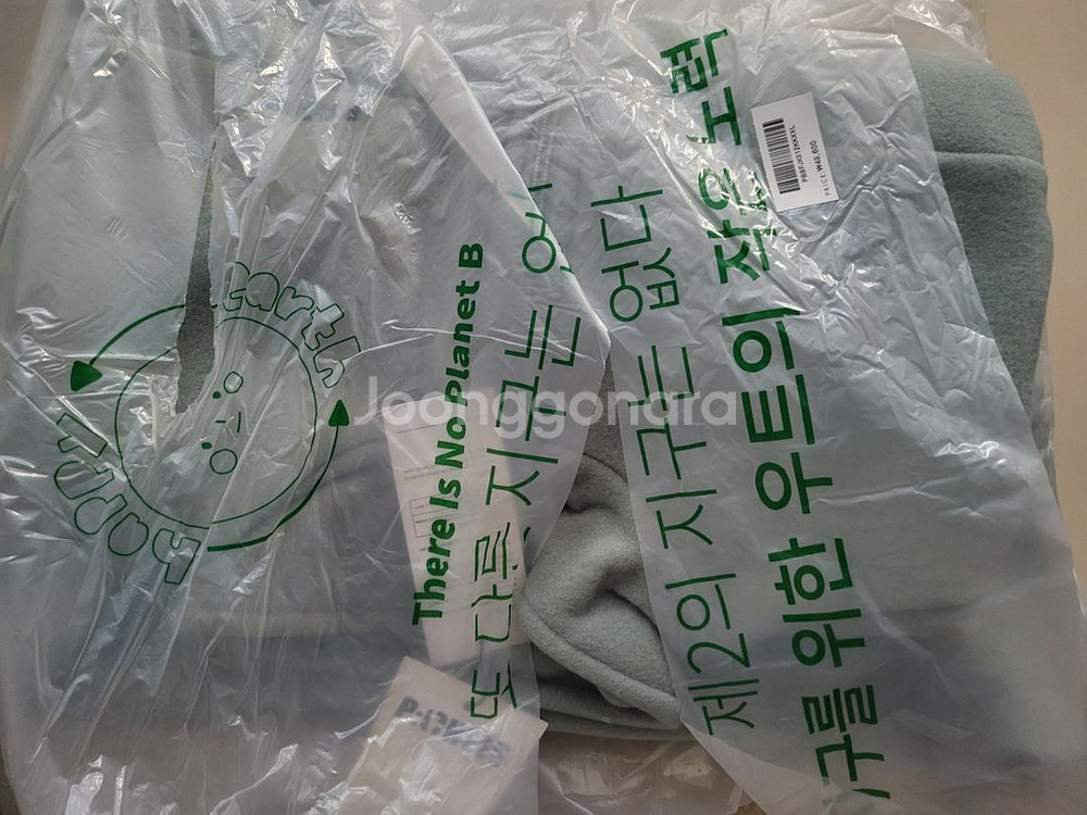 피치스후리스--1