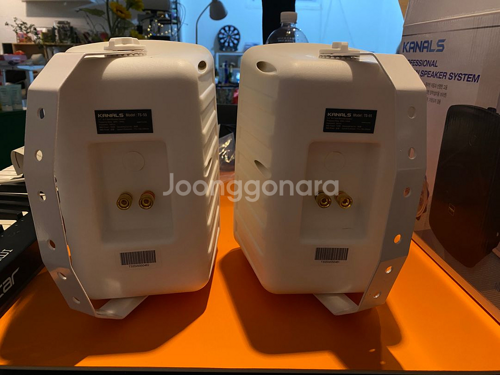 카날스 TS-55 패시브 스피커--1
