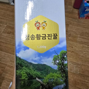 청송황금진꿀 판매