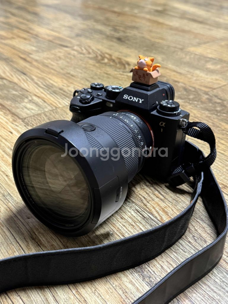 Sony A1 - 2470Gm2--0
