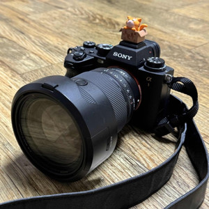 Sony A1 - 2470Gm2