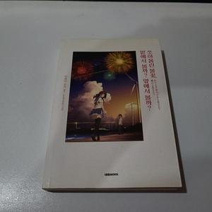 쏘아올린 불꽃, 밑에서 볼까? 옆에서 볼까?