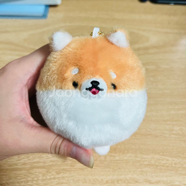 꼬리붕붕 왕왕즈 시바견 인형 키링--1