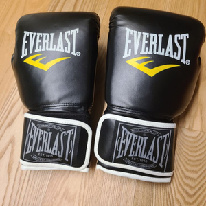 EVERLAST 복싱글러브입니다