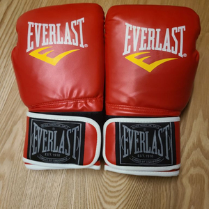 EVERLAST 복싱글러브입니다