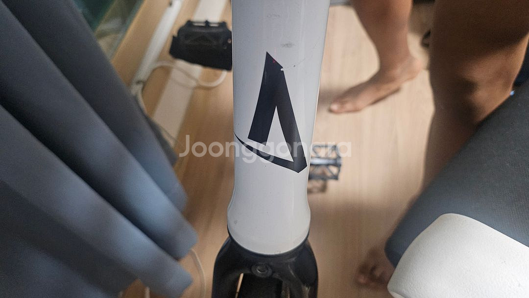 아벤톤 코르도바 픽시 프레임셋 판매만--2