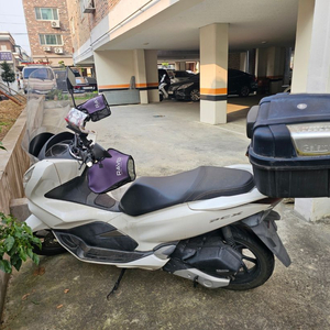 pcx125 20년식 41000키로