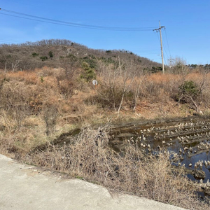 성토 흙 받습니다. 강화군 삼산면