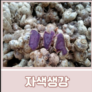 태국 흑생강 끄라차이담입니다. 200g