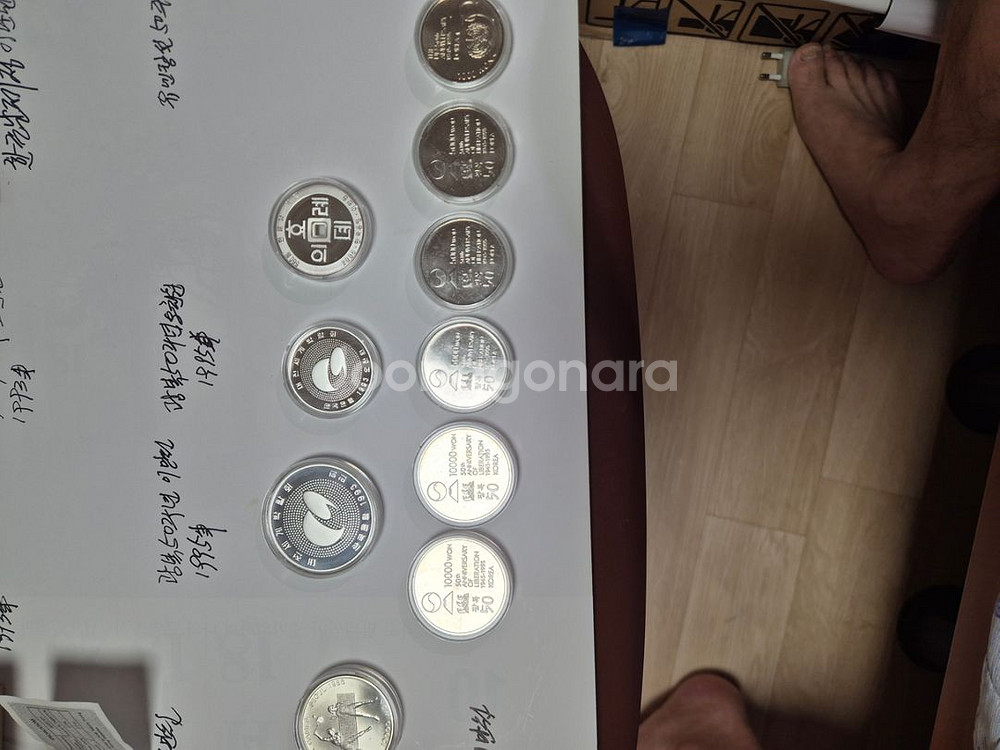 기념주화--6