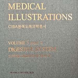 The Ciba collection(시바 컬렉션)