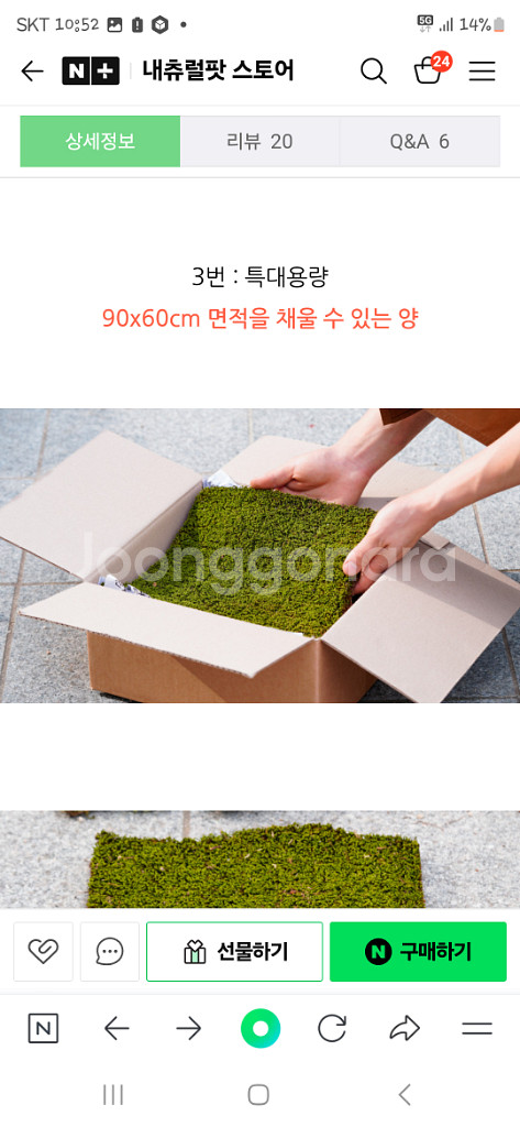 이끼 새상품 특대용량--3