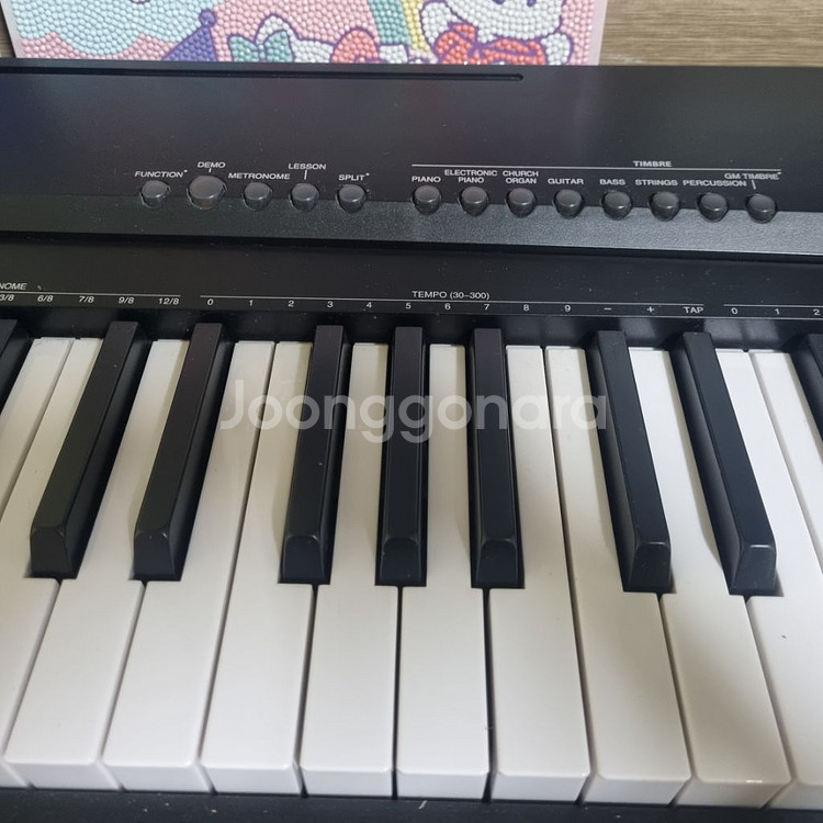 레브 88건반 피아노--1
