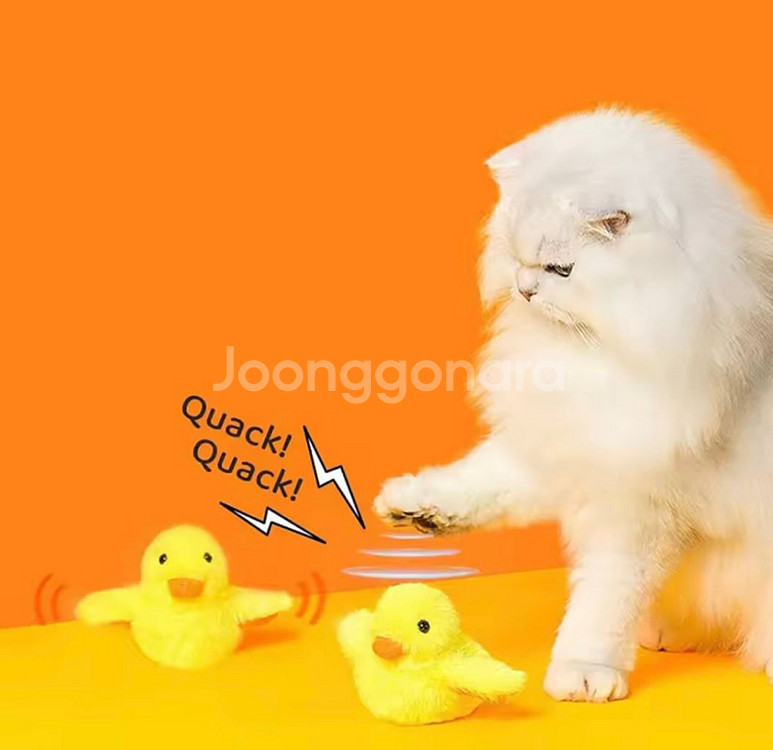 고양이 장난감 (펫그래비티 움직이는 오리)--1