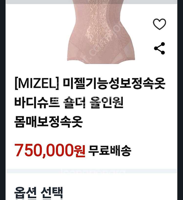 미젤 기능성 보정속옷 숄뎌105--4