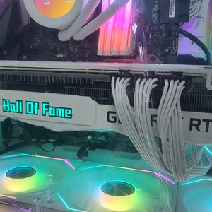 RTX3080TI HOF