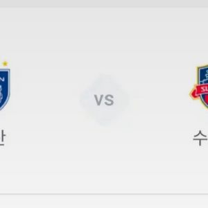 울산HD VS 수원Fc 1석