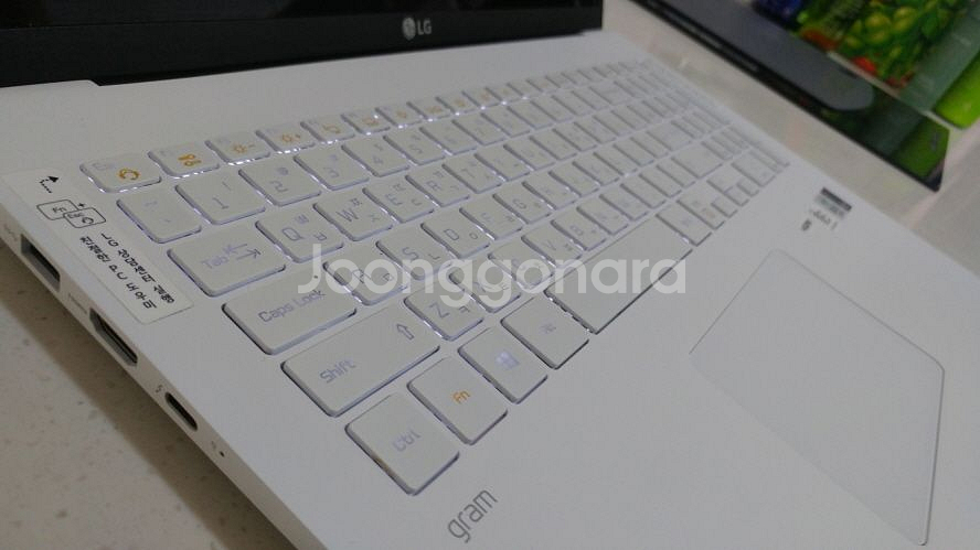 LG 10세대 17인치 화이트 그램/램16G--4