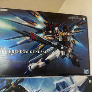 PG 스트라이크 프리덤