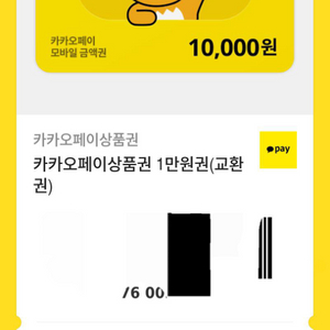 카카오페이 10000원 교환권!!