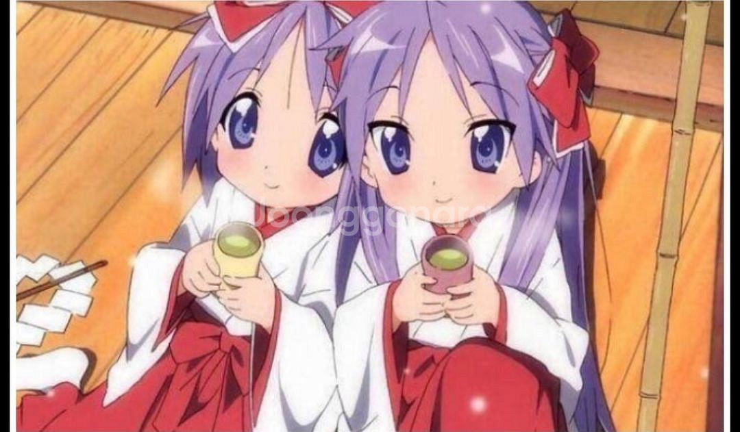 럭키스타 츠카사 희귀 인형--1