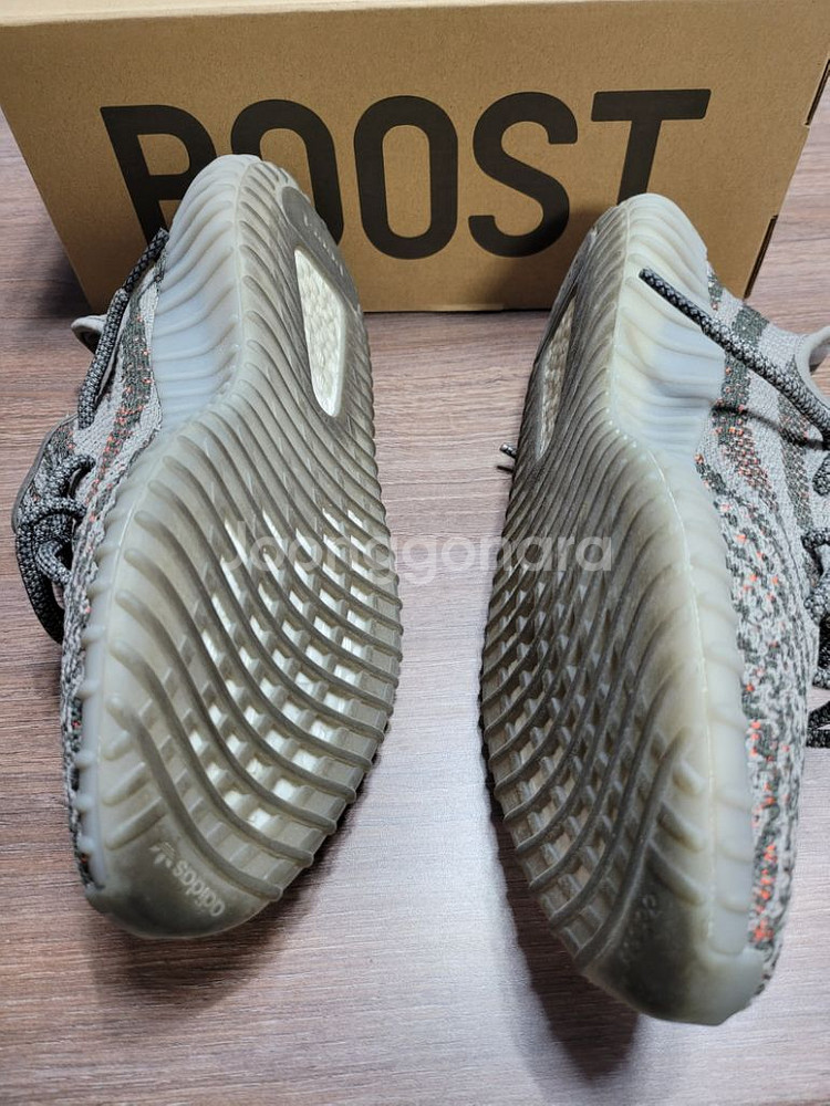 이지부스트 350V2 벨루가 250mm--3