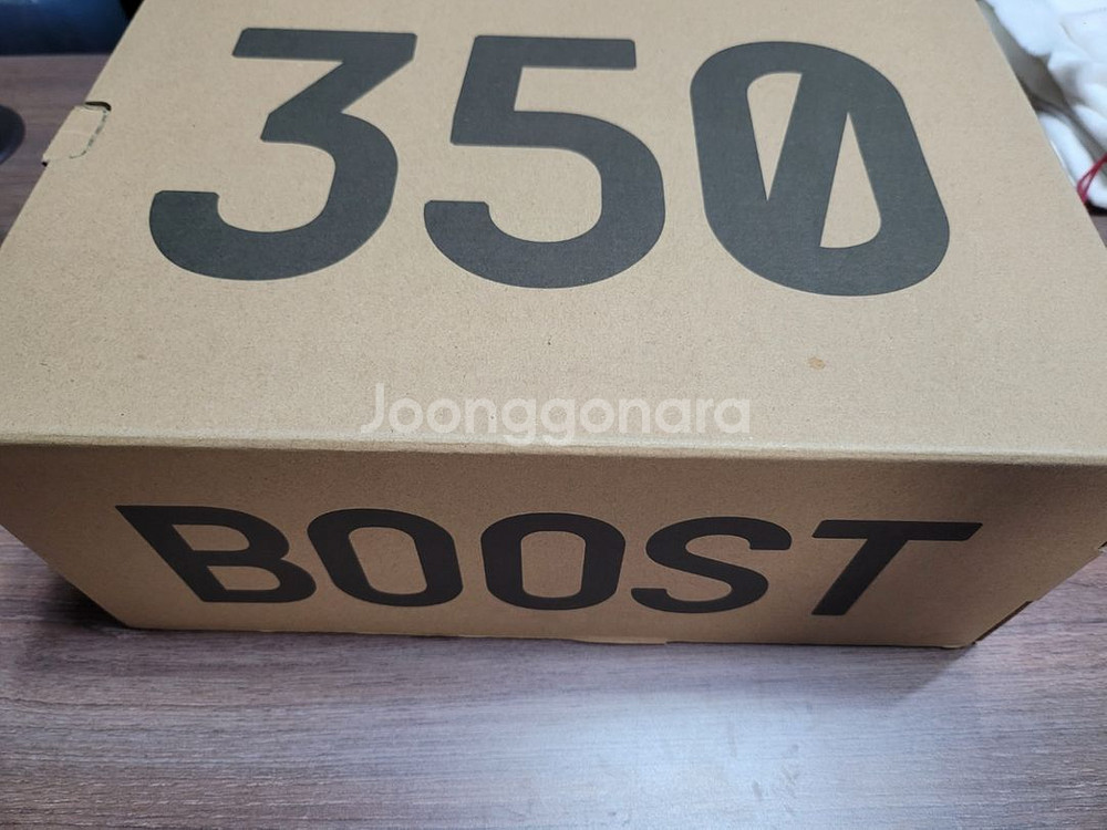 이지부스트 350V2 벨루가 250mm--5