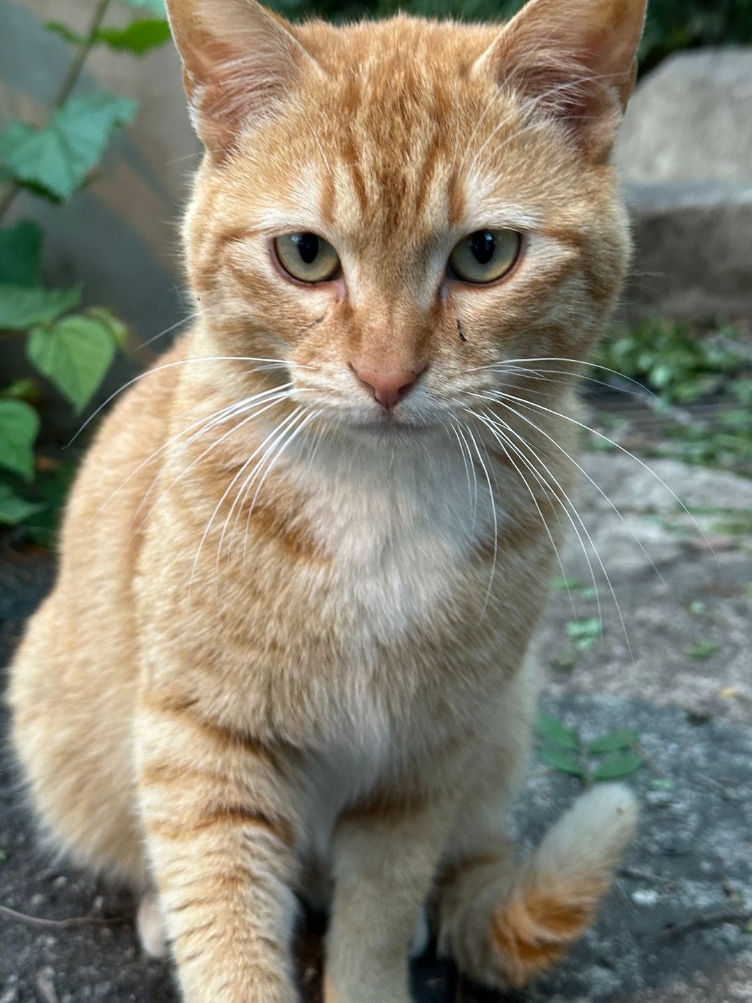 profile-image